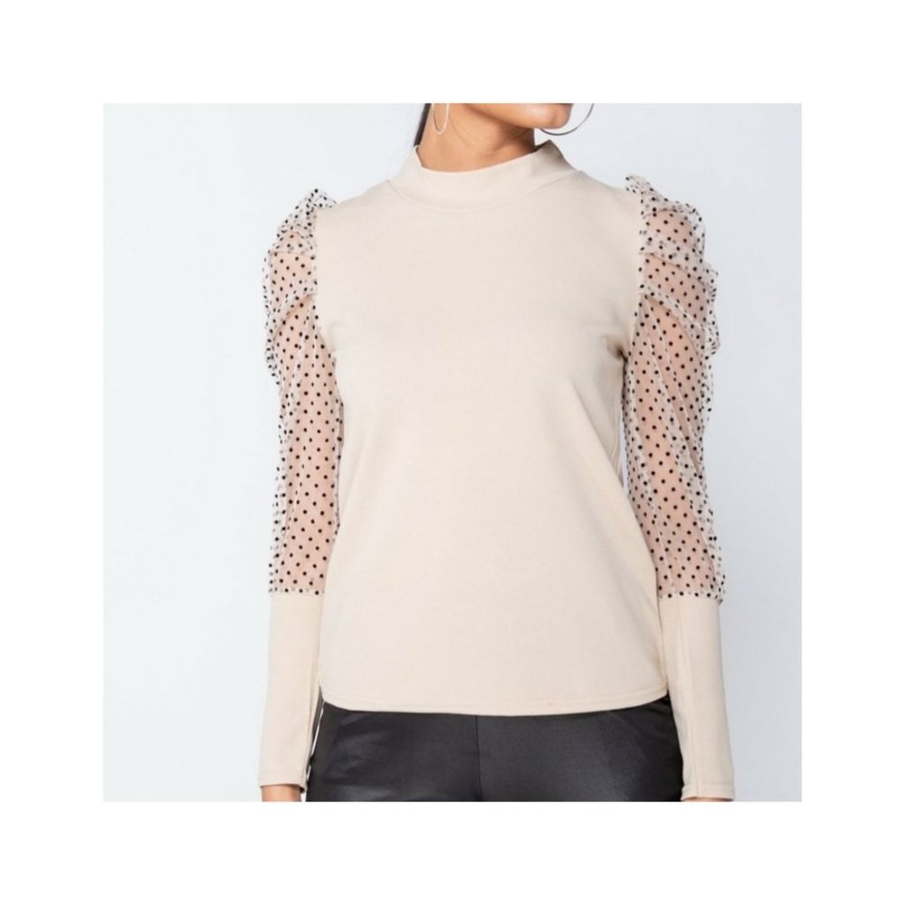 Mock Neck Polka Dot Mesh Long Sleeves